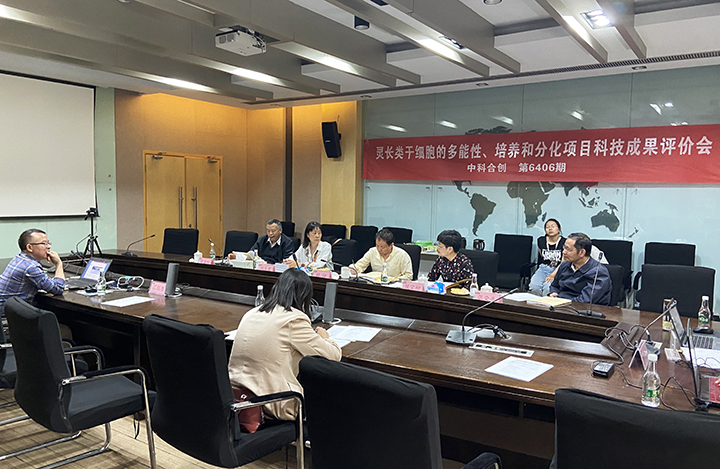 灵长类干细胞的多能性、培养与分化 anli.jpg